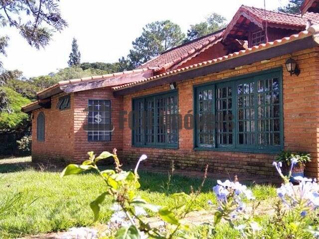 #2 - Haras para Venda em Boituva - SP - 3