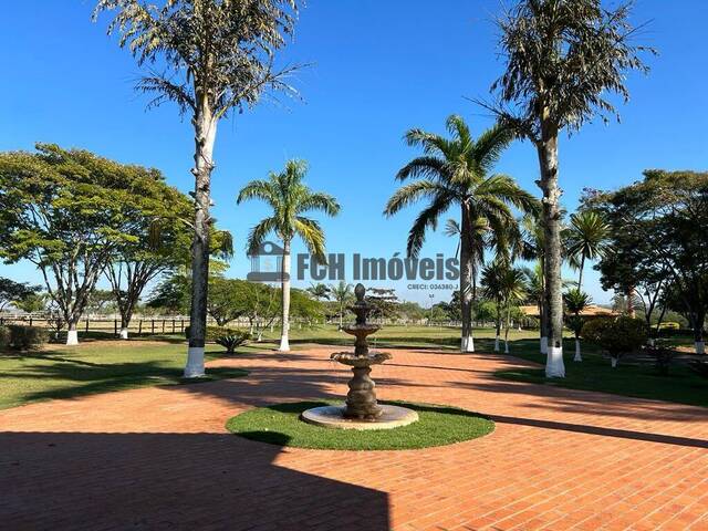 #113 - Haras para Venda em Quadra - SP - 1