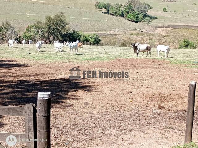 #114 - Haras para Venda em Cerquilho - SP