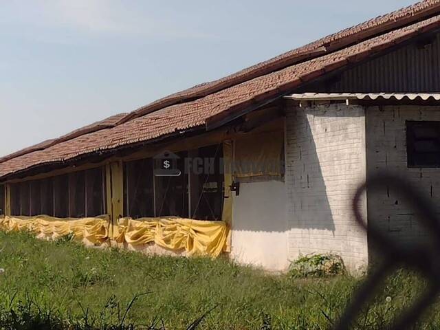 Sítio para Venda em Porto Feliz - 5