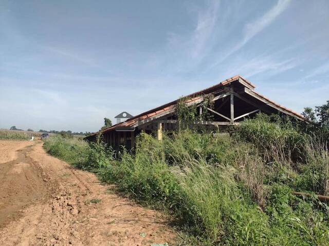 #158 - Sítio para Venda em Porto Feliz - SP - 1