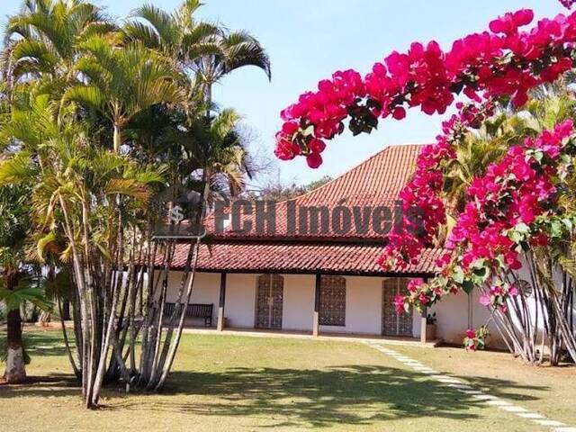 #160 - Haras para Venda em Porto Feliz - SP - 1