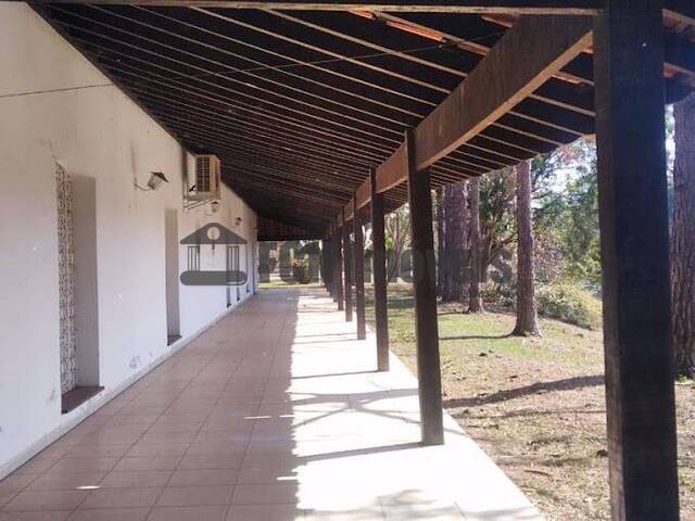 #160 - Haras para Venda em Porto Feliz - SP - 3