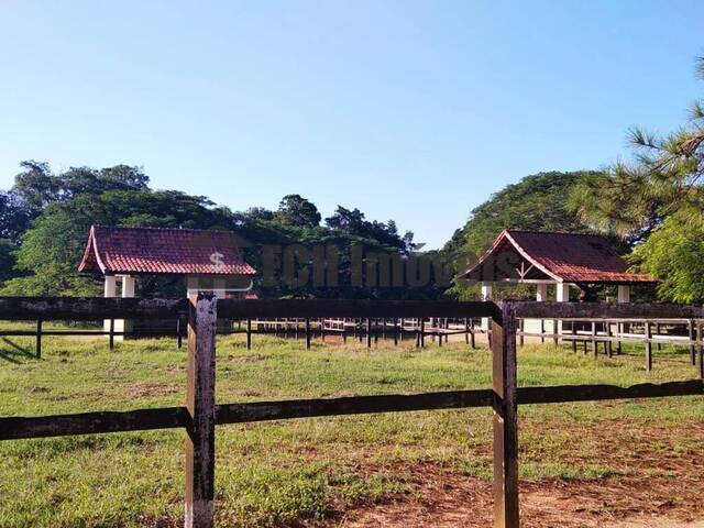 #163 - Haras para Venda em Porto Feliz - SP - 2