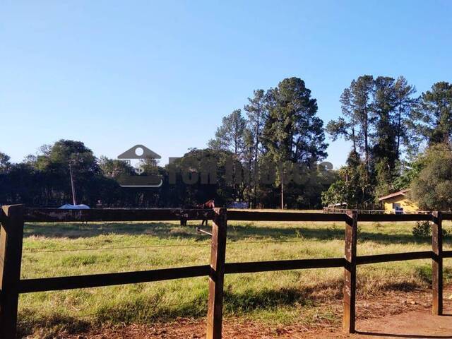 #163 - Haras para Venda em Porto Feliz - SP - 3