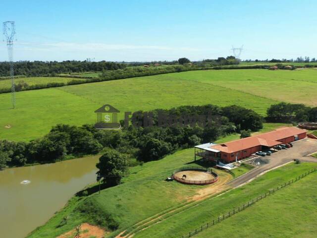 #175 - Haras para Venda em Porto Feliz - SP - 2