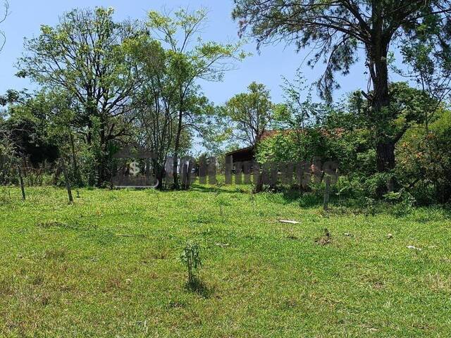 #187 - Sítio para Venda em Porto Feliz - SP - 3