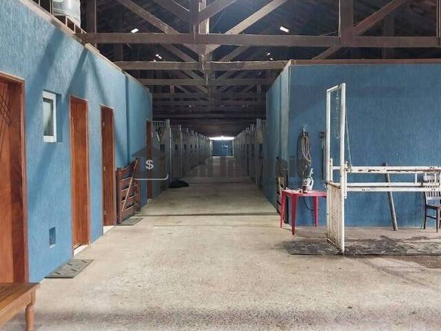 #192 - Haras para Venda em Quadra - SP - 1