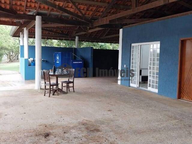 #192 - Haras para Venda em Quadra - SP - 2