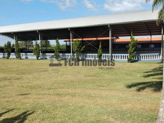 Haras para Venda em Quadra - 5