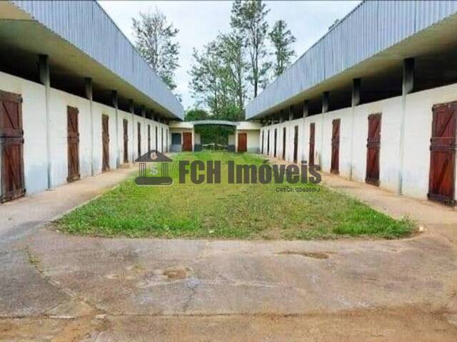 #193 - Haras para Venda em Porto Feliz - SP - 3