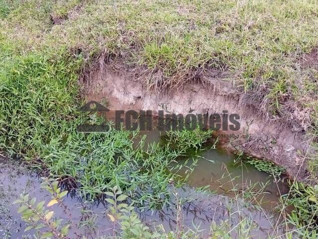 #213 - Área para Venda em Porto Feliz - SP - 3