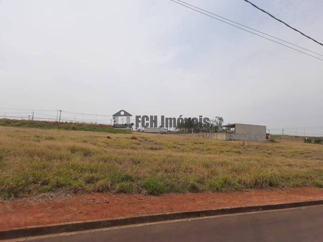 #283 - Alto Valor para Venda em Porto Feliz - SP - 1