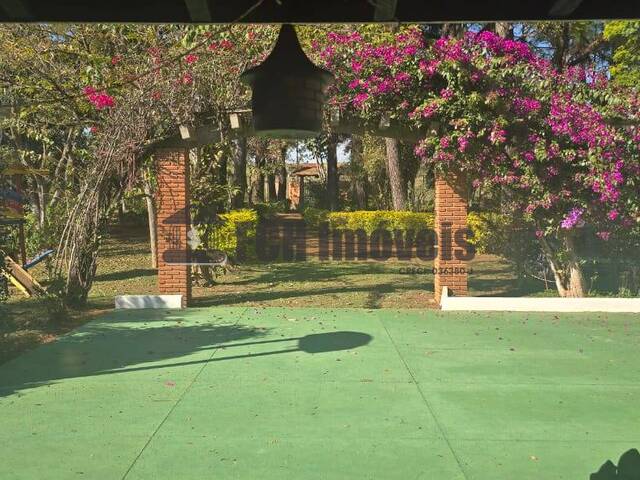 #291 - Sítio para Venda em Quadra - SP - 2