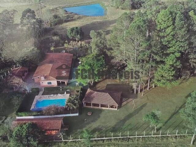 #291 - Sítio para Venda em Quadra - SP - 1