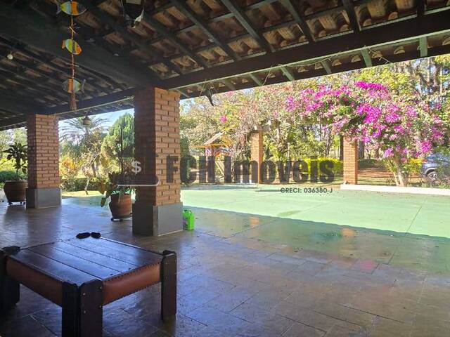 #291 - Sítio para Venda em Quadra - SP - 3