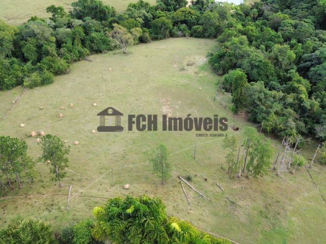 Sítio para Venda em Porto Feliz - 4