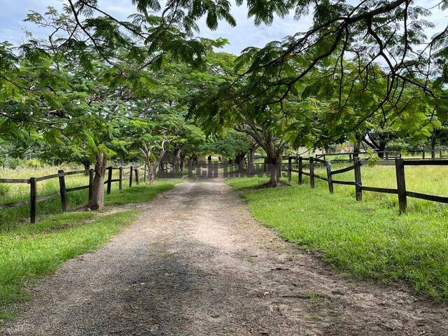 Chácara para Venda em Porto Feliz - 3